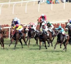 Budapest Horse Race